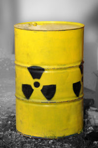 Rebecca Harms von den Grünen kritisiert Atommüll Endlager-Strategie